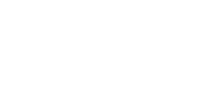 INA Cambelt Specialists